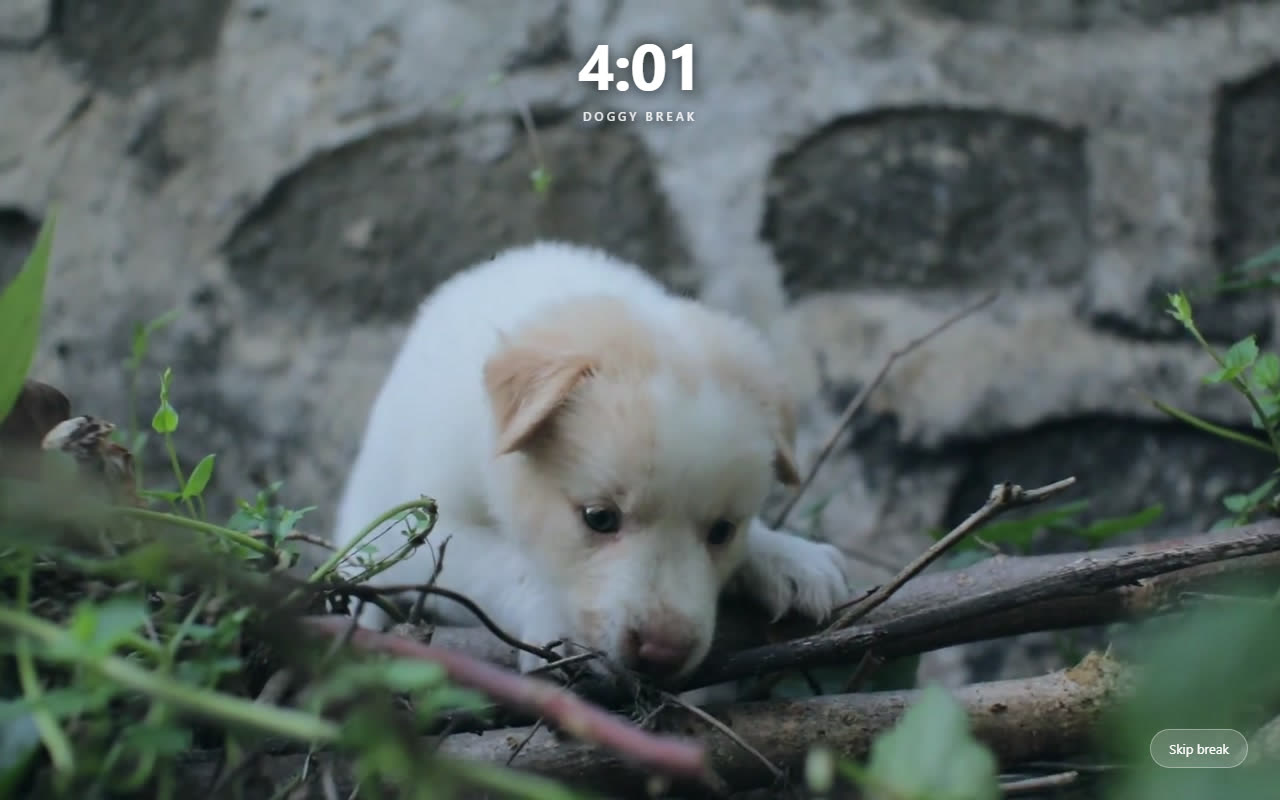 Doggy Break overlay — sleepy puppy