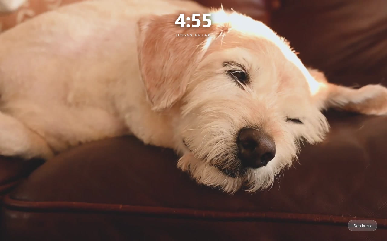 Doggy Break overlay — resting dog